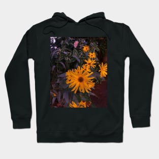 Daisy Dream Hoodie